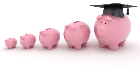 The 529 college savings plan comes in two different types