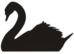 Black Swans Stock Market Crash Predictions 2012